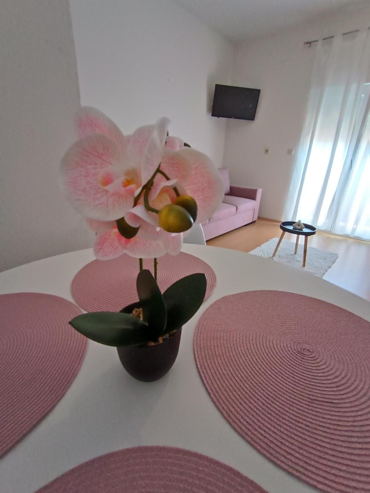 Apartman Lea Sukošan Zewnętrze zdjęcie